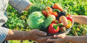 Iniciativa contribui para fortalecer o trabalho de pequenos agricultores no estado. Imagem: Freepik