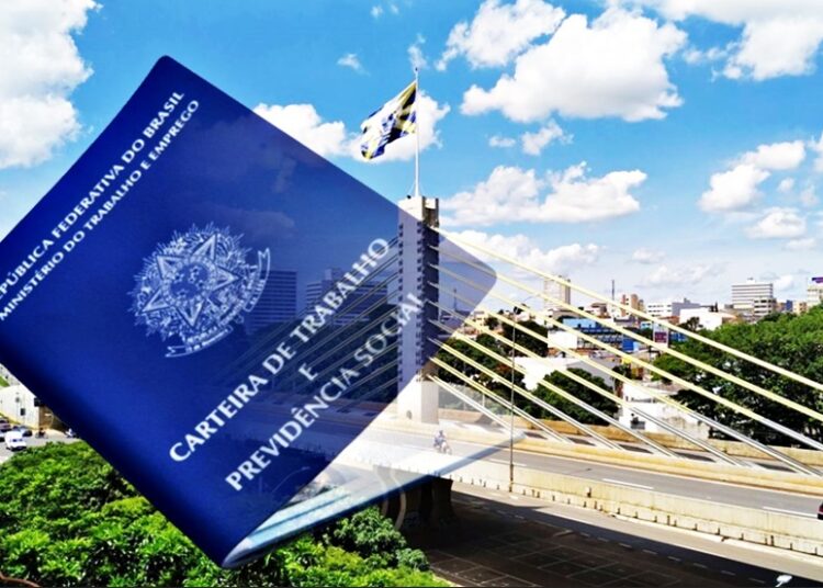 Caged Anápolis- Foto Mídia Um