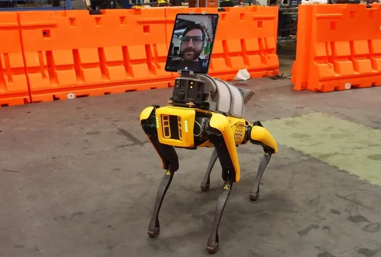 Cão-robô Spot, da Boston Dynamics. Imagem: Divulgação