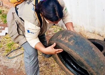 Combate à Dengue- Prefeiturade Anápolis- Divulgação