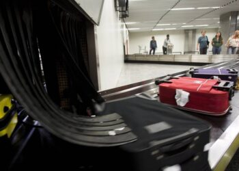 Deputados garantem gratuidade no despacho e ampliam direitos dos passageiros. Foto: Guito Moreto