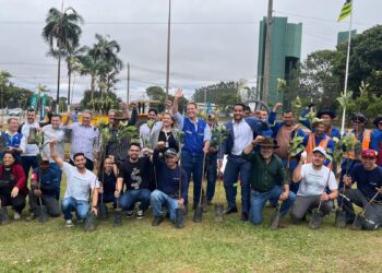 Indústrias e o Consedaia fizeram a doação de mudas de Quaresmeiras