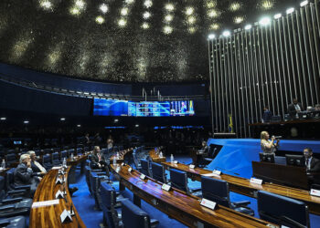 Plenário do Senado Federal. Imagem: Reprodução