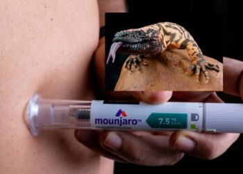 Imagem: Reprodução