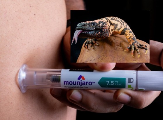 Imagem: Reprodução