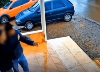 Imagem: Captura de Tela/Reprodução/Internet