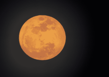 Superlua em Mataraca, PB – Foto: Amaro Miranda