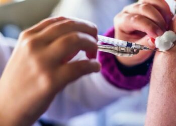 Imagem: SMS/Divulgação