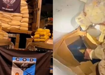 Drogas escondidas em caixas de papelão sob sacos de casquilha de guaraná (Divulgação COD)