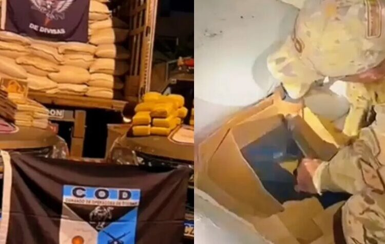 Drogas escondidas em caixas de papelão sob sacos de casquilha de guaraná (Divulgação COD)