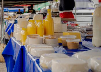 Imagem: Paulo de Tarso/Prefeitura de Anápolis