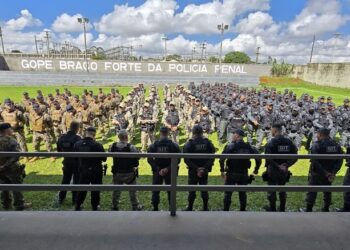 Imagem: Divulgação