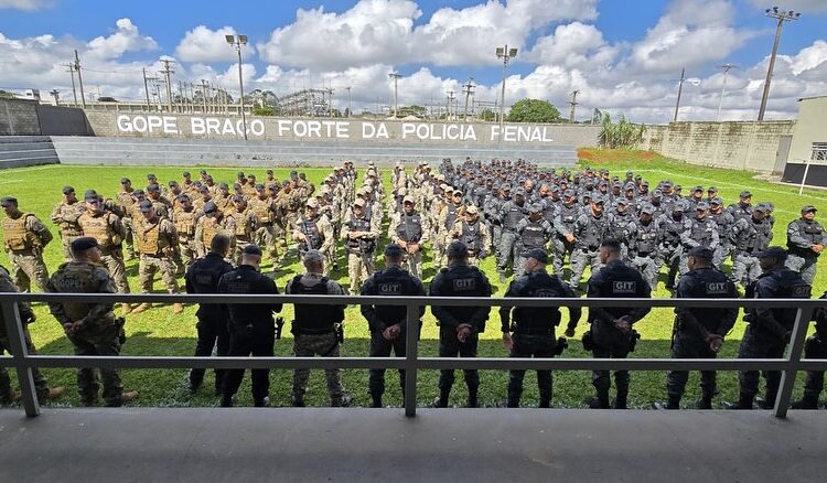 Imagem: Divulgação