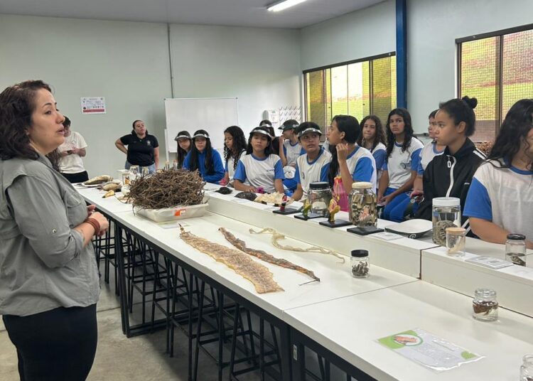 Alunos da Escola Raymundo Paulo Hargreaves participaram da visita, ampliando o entendimento sobre questões ambientais vivenciadas no dia a dia de Anápolis. Imagem: Divulgação