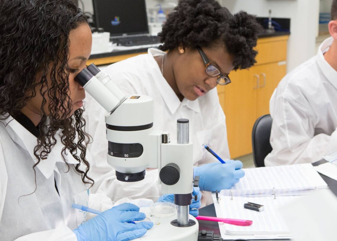 Em 2024, o Brasil registrou aumento na produção de artigos científicos, principalmente em ciências da natureza e engenharias. Imagem: Reprodução