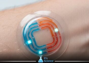 Imagem: Reprodução