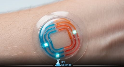 Imagem: Reprodução