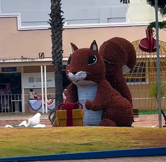 Imagem: Divulgação