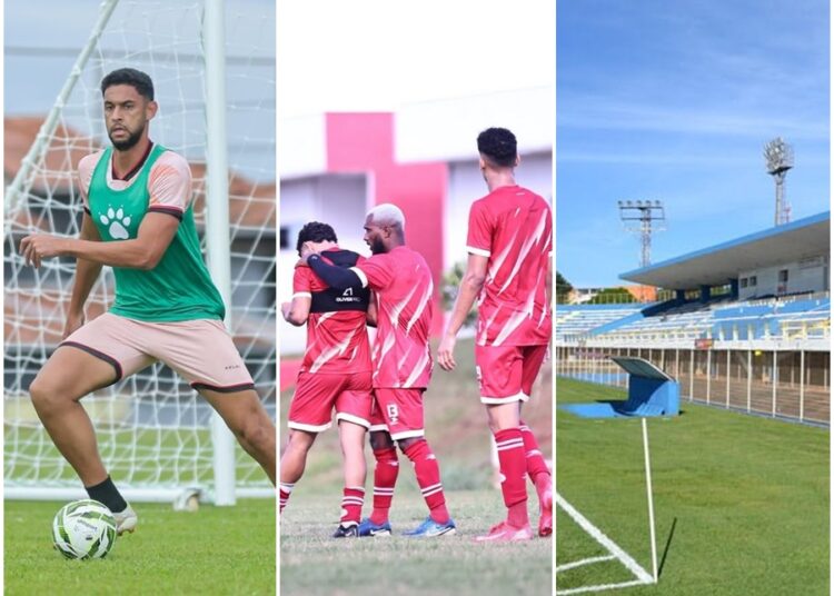 Galo e Rubra- Goianão 2026