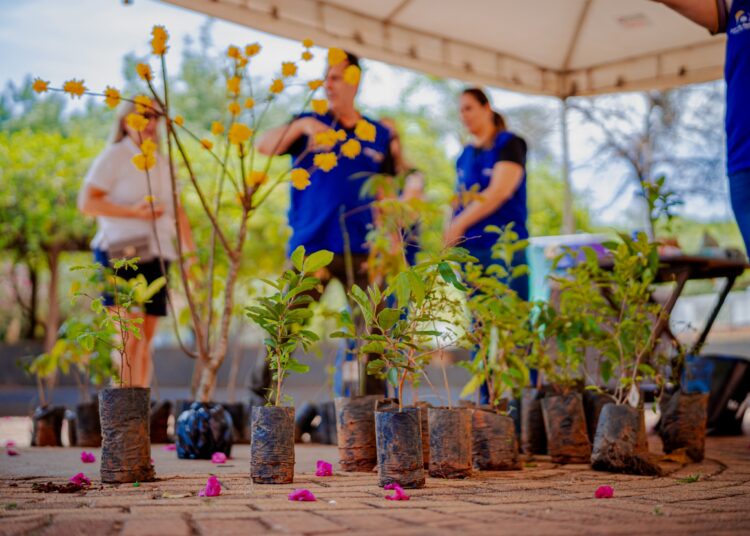 Foto: Paulo de Tarso