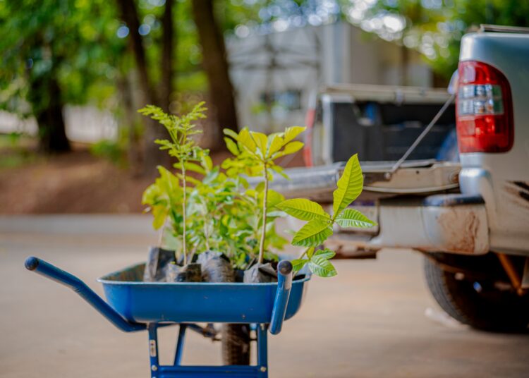 Foto: Paulo de Tarso