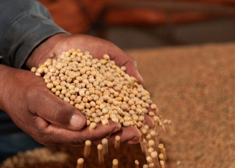 Imagem: Ilustrativa/Reprodução