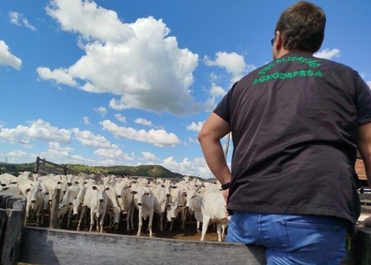 Imagem: Divulgação/Agrodefesa