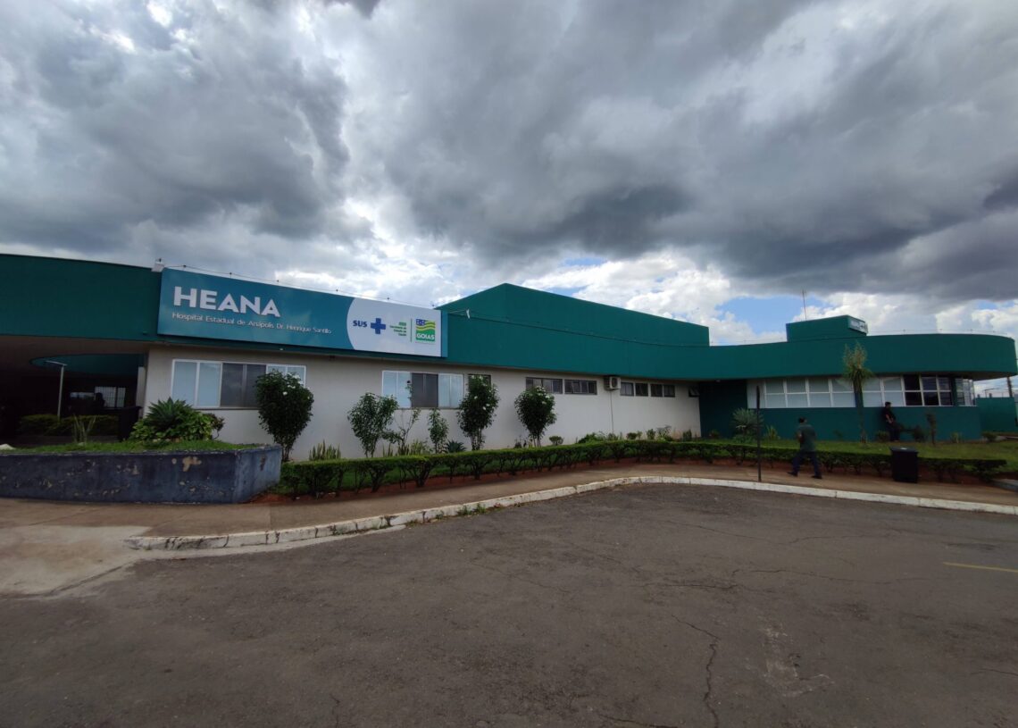 HEANA. Imagem: Reprodução/Internet