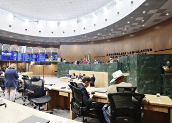 Alego- Denise Xavier- Divulgação