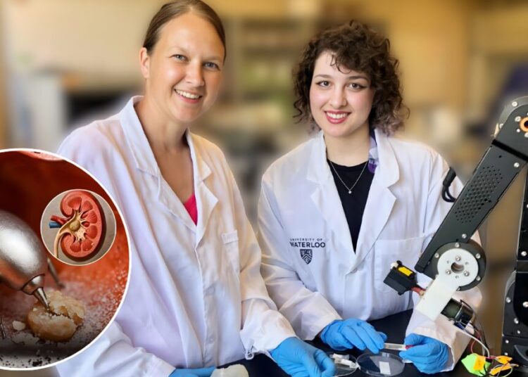 Imagem: Reprodução