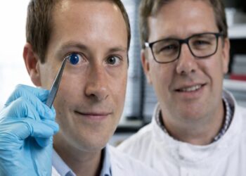 Os cientistas também demonstraram que é possível construir uma córnea correspondendo às especificações exclusivas de um paciente. Foto: John Millard/Newcastle University/