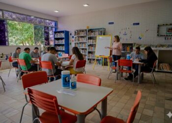 Foto: Paulo de Tarso/Reprodução Gemini