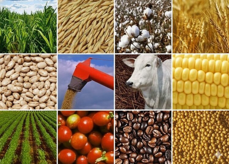 Imagem: Reprodução