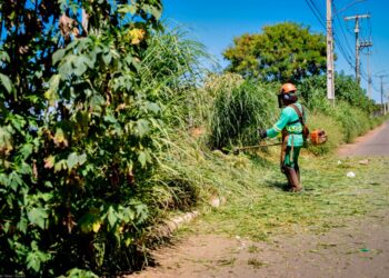 Serviço de Roçagem- Prefeitura de Anápolis