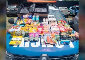 Delegada presa por furto no Alphaville de Goiânia tem doença mental e perdeu a filha, diz sindicato (Foto: Reprodução)