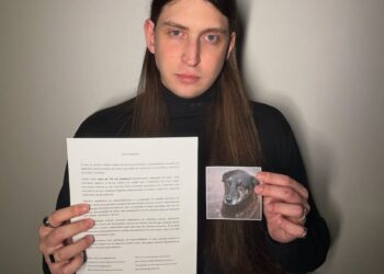 Felca. Imagem: Reprodução/Redes Sociais