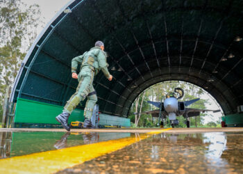 Gripen - Foto - Sargento Müller Marin - CECOMSAER- FAB