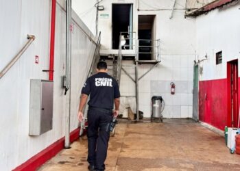 Operação Cash Cow- Polícia Civil de Goiás- Divulgação