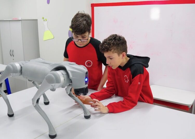 O projeto prevê o uso de robôs humanoides e quadrúpedes em atividades pedagógicas, além da adoção da plataforma THink.AI. Imagem: Divulgação