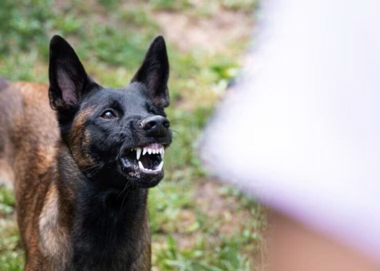 Imagem: Ilustrativa/Reprodução