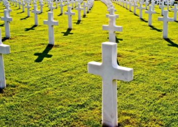 Pets em cemitérios- Imagem ilustrativa