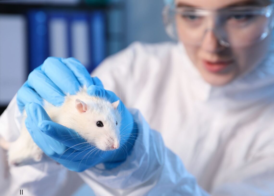 Imagem: Reprodução