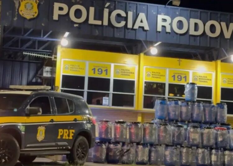 Apreensão de skunk é a maior da história do estado, segundo a PRF (Foto PRF)