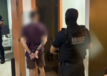 Operação desarticula grupo que vendia exames e receitas médicas pela internet (Foto: PCGO)