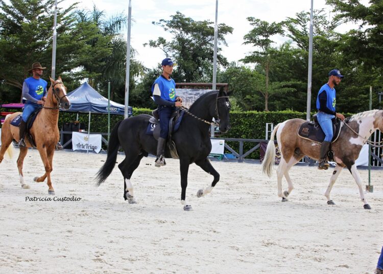 Fazenda Cavalo de Raça tornou-se referência regional para eventos equestres qualificados. Foto: Patrícia Custódio
