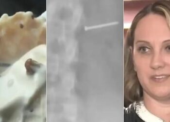 Imagem: Reprodução