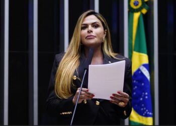 Deputada Silvye Alves, relatora, destacou importância da matéria. Imagem: Reprodução