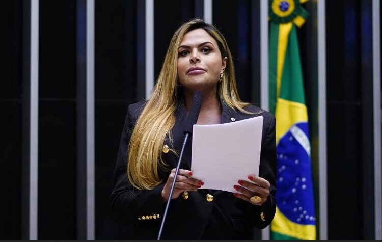 Deputada Silvye Alves, relatora, destacou importância da matéria. Imagem: Reprodução