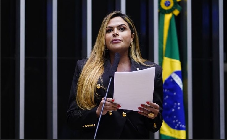 Deputada Silvye Alves, relatora, destacou importância da matéria. Imagem: Reprodução