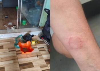 Imagem: Reprodução